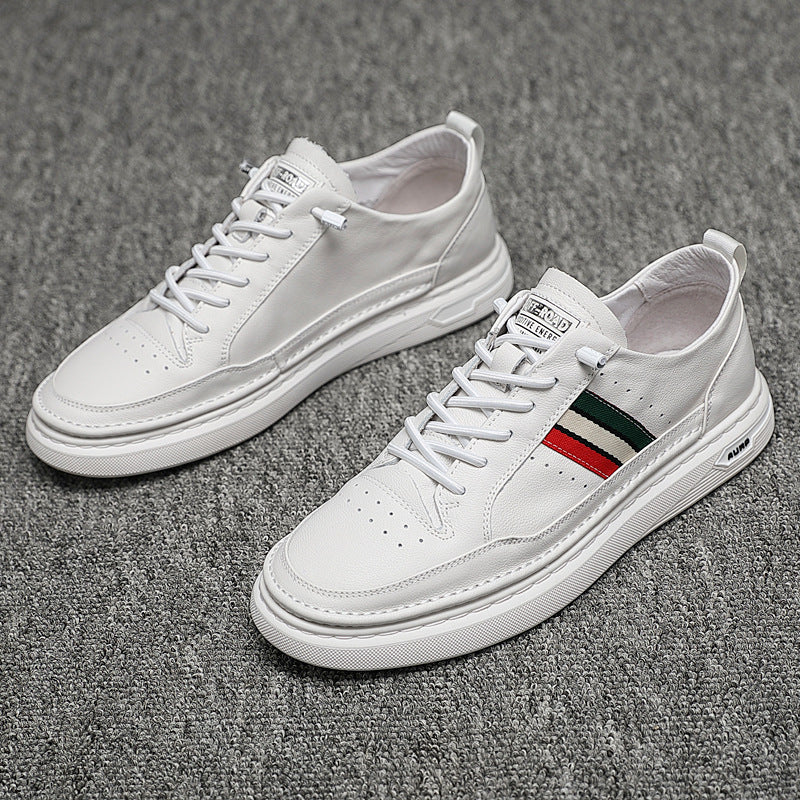 TALLUXX PURESTEP