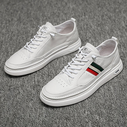 TALLUXX PURESTEP